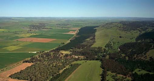 aerial bundaleer