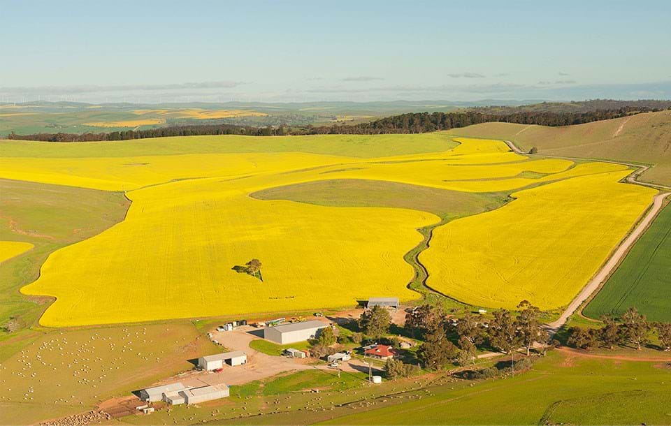 Aerial Photography Adelaide