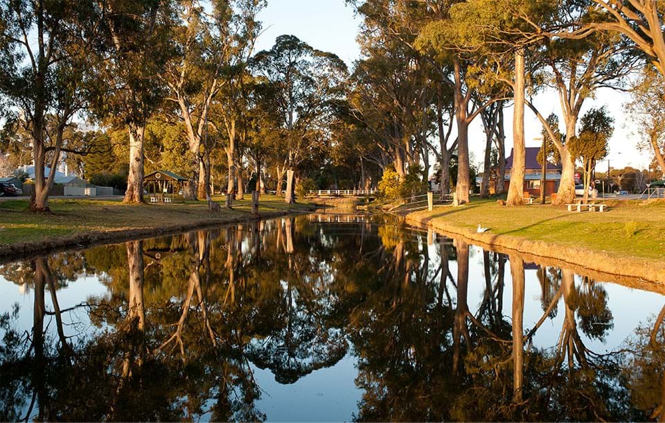 Commercial Photographer Mid North